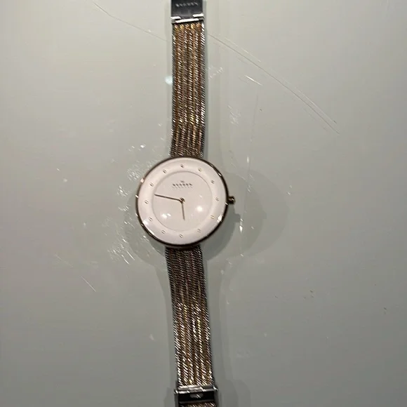 - Skagen Denmark Two Toned Silvertone and Goldtone Large White Faced Watch - Picture 2 of 5